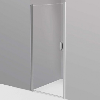 Душевая дверь в нишу Am.Pm Move W81S-D100-000CT 100 см интернет магазина сантехники Акванота