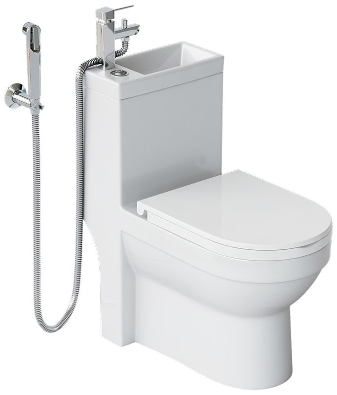 Гигиенический душ в интерьере туалета (81 фото)