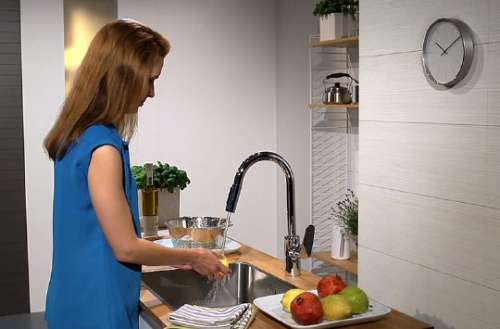 Смеситель для кухни Hansgrohe Focus 31815000 купить по всей России