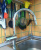 Смеситель для кухни Grohe Minta 32321000 купить по всей России