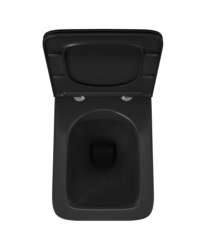 Унитаз подвесной Owl 1975 Vatter Ruta-H Matt Black OWLT190404 36.5 x 53 x 36 см безободковый, сиденье DP, Soft Close, черный матовый в интернет магазине сантехники Акванота в Москве Тел.: +7 (968) 040-40-82