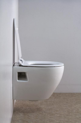 Подвесной унитаз BelBagno Sfera-T BB502B в интернет магазине сантехники Акванота в Москве Тел.: +7 (968) 040-40-82
