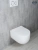 Унитаз подвесной GID Tornado Tr2133TF белый 49x36x34 интернет магазина сантехники Акванота Унитаз подвесной GID Tornado Tr2133TF белый 49x36x34 в интернет магазине сантехники Акванота в Москве Тел.: +7 (968) 040-40-82