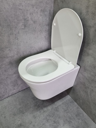 Подвесной унитаз CeramaLux 2619E в интернет магазине сантехники Акванота в Москве Тел.: +7 (968) 040-40-82