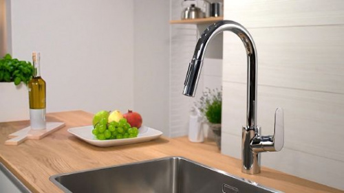 Смеситель для кухни Hansgrohe Focus 31815000 купить по всей России