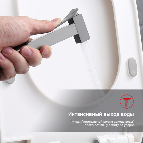 Гигиенический душ Raglo R01 R01.52.09 графит купить по всей России