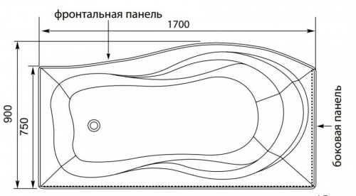 Акриловая ванна Aquanet Borneo 170 см L
