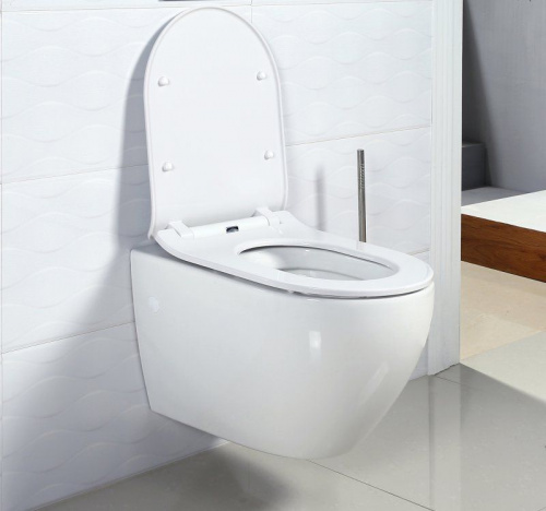 Подвесной унитаз BelBagno Sfera-R BB513CH безободковый в интернет магазине сантехники Акванота в Москве Тел.: +7 (968) 040-40-82