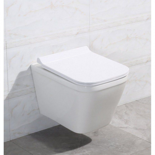 Подвесной унитаз BelBagno Dory BB522ACHR безободковый в интернет магазине сантехники Акванота в Москве Тел.: +7 (968) 040-40-82