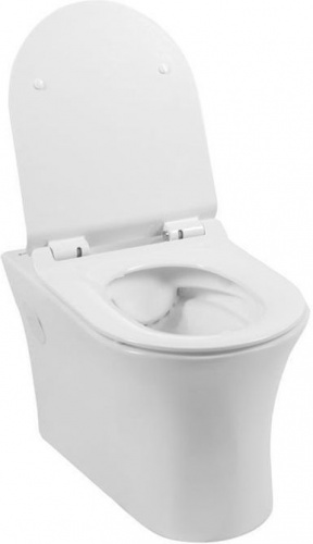 Унитаз подвесной Aquanet Rimless Roll-W CL-12249D в интернет магазине сантехники Акванота в Москве Тел.: +7 (968) 040-40-82