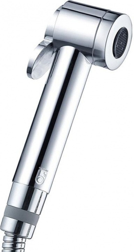 Гигиенический душ Bossini Paloma Aerato B01443 хром купить по всей России