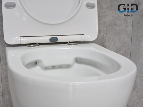 Подвесной безободковый унитаз Gid TR2198 белый с сиденьем микролифт в интернет магазине сантехники Акванота в Москве Тел.: +7 (968) 040-40-82
