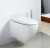 Подвесной унитаз BelBagno Sfera-R BB513CH безободковый в интернет магазине сантехники Акванота в Москве Тел.: +7 (968) 040-40-82