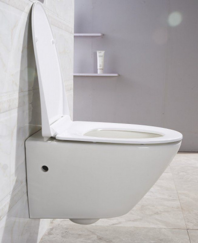Подвесной унитаз BelBagno Alpha BB300CHR безободковый в интернет магазине сантехники Акванота в Москве Тел.: +7 (968) 040-40-82