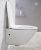 Подвесной унитаз BelBagno Alpha BB300CHR безободковый в интернет магазине сантехники Акванота в Москве Тел.: +7 (968) 040-40-82
