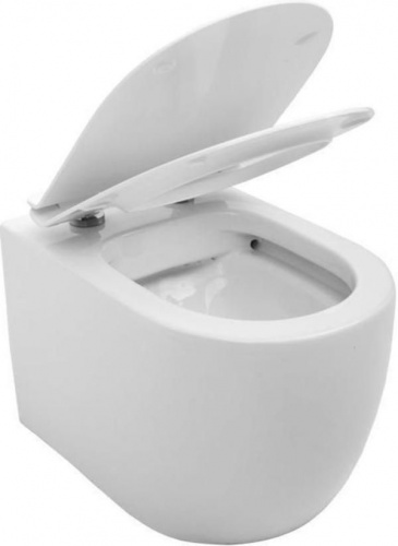 Унитаз подвесной Aquanet Rimless Cetus-W BL-102N-WHT в интернет магазине сантехники Акванота в Москве Тел.: +7 (968) 040-40-82